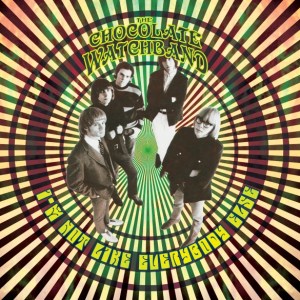 2196 ChocolateWatchband med res