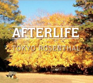 Tokyo R afterlife album cover