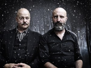 carptree_vi_promo-med-res