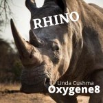 Linda Cushma OXYGENE8 RHINOmp3CoverArt med res