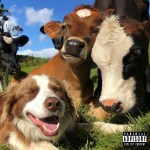 Grinns LGO_COVER med&nbsp;res