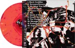 Mourning Noise – Screams Dreams Vinyl Rear cropped med res